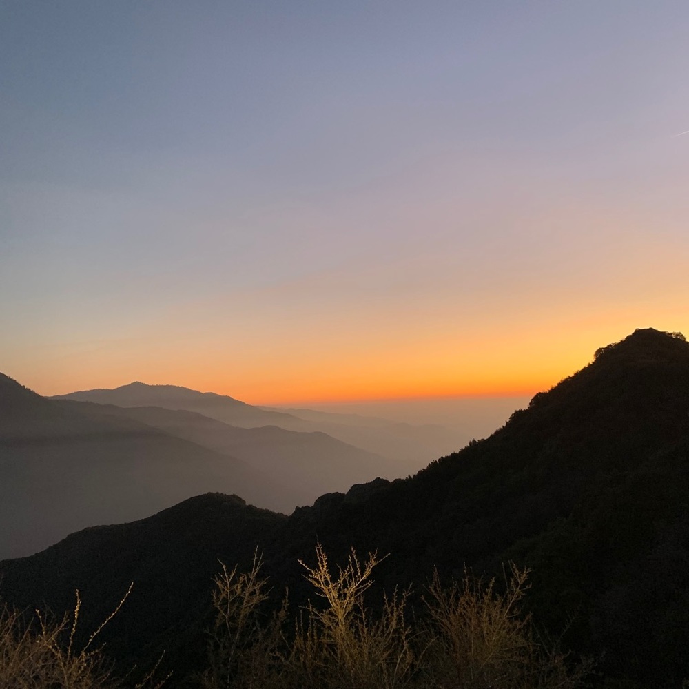 Meet your Posher, Alison